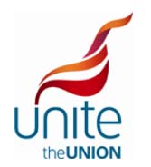 unitew hte union